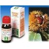 SPECCHIASOL Srl Specchiasol Agnocasto 53 Tintura Madre 50 ml