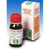 SPECCHIASOL Srl Specchiasol Ginkgo Biloba 64 Tintura Madre 50 ml