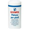 DUAL SANITALY SpA SOC.BENEFIT Gehwol Polvere Piedi Deodorante 100 g