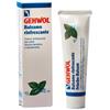 DUAL SANITALY SpA SOC.BENEFIT Gehwol Balsamo Rinfrescante Piedi 75 ml