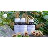 LABOR VILLA STODDARD Srl Labor Villa Stoddard LVS 70C Olea Europea Compositum