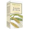 ERBAMEA Srl LIEVITO BIRRA 120CPR
