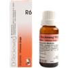 DR.RECKEWEG & CO. GmbH Dr. Reckeweg R6 Gocce Omeopatiche 22 ml
