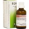 DR.RECKEWEG & CO. GmbH Dr. Reckeweg R29 Gocce Omeopatiche 22 ml