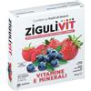 FALQUI PRODOTTI FARMAC. Srl ZiguliVit Integratore Vitamine e Minerali Gusto Frutti Di Bosco 24 g