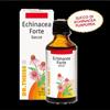 NATURWAREN ITALIA Srl Echinacea Forte gocce Raffreddore e influenza Boccetta da 50ml