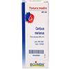 BOIRON Srl Cardo Mariano Tintura Madre - Boiron - 60 ml