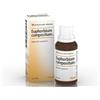 GUNA SpA Euphorbium Compositum Heel Guna - Medicinale omeopatico - Gocce - 30 ml