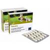 CAMON SpA ARTOSALUS COMPRESSE 30CPR