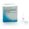 GUNA SpA Guna Heel Phosphoricum Ac Homac 10 Fiale