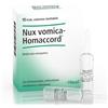 GUNA SpA Guna Nux Vomica-Homaccord Medicinale Omeopatico 10 Fiale