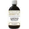 DR.GIORGINI SER-VIS Srl CARPINO Gemmo 10+ Analc.500ml