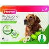 BEAPHAR B.V. PROTEZIONE NAT SPOT ON C TG 6P