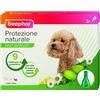 BEAPHAR B.V. PROTEZIONE NAT SPOT ON CANE TP