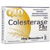 WP CORPORATE Srl Colesterase Plus Integratore 30 Capsule