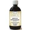 DR.GIORGINI SER-VIS Srl IPPOCASTANO LIQ ANAL GEMMO 10+