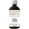 DR.GIORGINI SER-VIS Srl ROSA CANINA LIQ ANAL GEMMO 10+