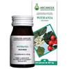 ARCANGEA Srl Arcangea Withania Integratore 60 Capsule