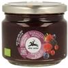 ALCE NERO SpA Alce Nero Composta di Frutti Bosco Biologica 270 g