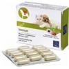 CAMON SpA IMMUN 60CPR