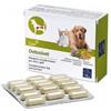 CAMON SpA DETOXIVET 60CPR