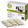 CAMON SpA ORMEVIT 60CPR