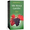 ERBAMEA Srl VITE Rossa Gambe Gel EBM