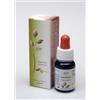 ADAMAH Srl EIE Passiflora Gocce Integratore 60 ml
