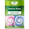 RENACO ITALIA R.I. GROUP Srl GASTRO AMP 30 CAPSULE