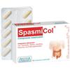 ARISTEIA FARMACEUTICI Srl SPASMICOL 30CPR MASTIC 500MG