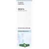 ERBA VITA GROUP SpA Erba Vita The Nilo Taglio Filtro Integratore Intestinale 1 kg