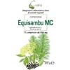 CAIRA LABORATORIO ERB. SA. Srl EQUISAMBU 75CPR