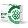 SCHWABE PHARMA ITALIA Srl Schwabe Pharma - Pegaso Stop Junior 14 Bustine - Integratore Per Il Riequilibrio Intestinale