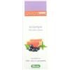DERBE Srl DERBE SHAMPOO ANTI UNTUOSITA