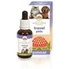 BUSH BIOTHERAPIES Pty Ltd Australian Bush Flower Essences Travel Pets 30ml