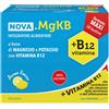 NOVA ARGENTIA Srl IND. FARM Nova MgKB 30 Bustine 5g