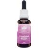 BUSH BIOTHERAPIES Pty Ltd SKIN BEAUTY 30ML