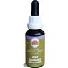 BUSH BIOTHERAPIES Pty Ltd Australian Bush Flower Essences Diet Harmony 30ml