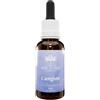 BUSH BIOTHERAPIES Pty Ltd CAREGIVER 30ML