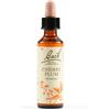 SCHWABE PHARMA ITALIA Srl CHERRY PLUM BACH ORIG 20ML