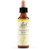 SCHWABE PHARMA ITALIA Srl CHESTNUT BUD BACH ORIG 20ML