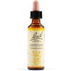 SCHWABE PHARMA ITALIA Srl GENTIAN BACH ORIG 20ML
