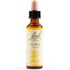 SCHWABE PHARMA ITALIA Srl GORSE BACH ORIG 20ML
