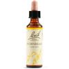 SCHWABE PHARMA ITALIA Srl HORNBEAM BACH ORIG 20ML