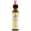 SCHWABE PHARMA ITALIA Srl MUSTARD BACH ORIG 20ML