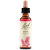 SCHWABE PHARMA ITALIA Srl PINE BACH ORIG 20ML