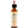 SCHWABE PHARMA ITALIA Srl ROCK ROSE BACH ORIG 20ML