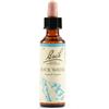 SCHWABE PHARMA ITALIA Srl ROCK WATER BACH ORIG 20ML