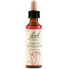 SCHWABE PHARMA ITALIA Srl STAR OF BETHL ORIG 20ML