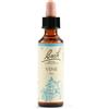 SCHWABE PHARMA ITALIA Srl VINE BACH ORIG 20ML